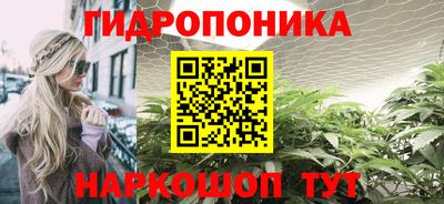 стаф Рыбинск