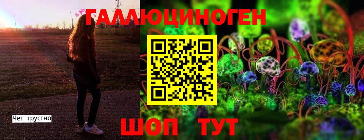 Пушкино  Псилоцибиновые грибы Psilocybe  Галлюциногенные грибы GOLDEN TEACHER  Вход с VPN 